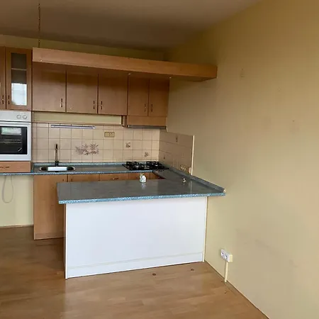 Apartman 2 Kk U Fakultni Nemocnice Parkovani Zadarmo Appartement Hradec Králové